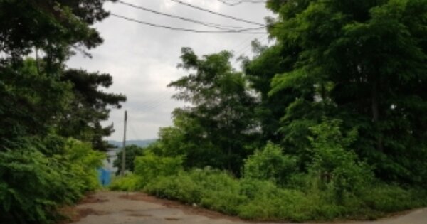 충청남도 당진시 순성면 백석리 OOOOO 과수원 경매 물건 이미지