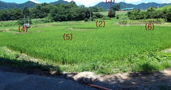 전라남도 함평군 해보면 금덕리 OOO 답 경매 물건 이미지
