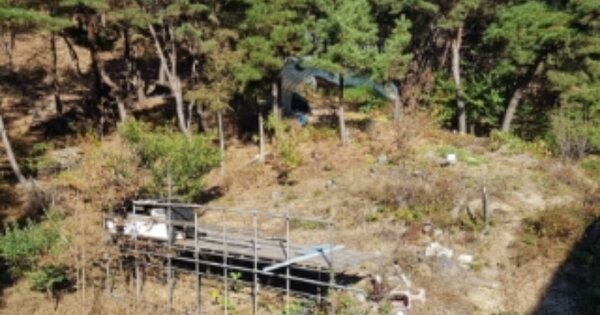 강원특별자치도 춘천시 동내면 거두리 OOO 임야 경매 물건 이미지