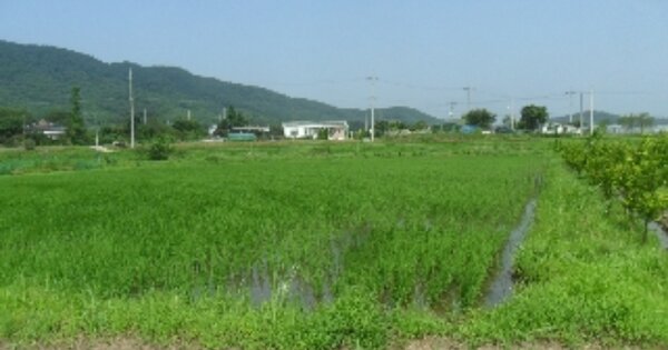 충청남도 서산시 인지면 산동리 OOO O OOO 답 경매 물건 이미지