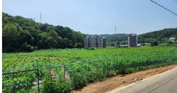 충청남도 당진시 송악읍 중흥리 OOOOO O OOO 답 경매 물건 이미지