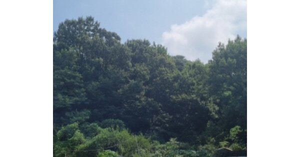 서울특별시 강동구 암사동 OOO 임야 경매 물건 이미지