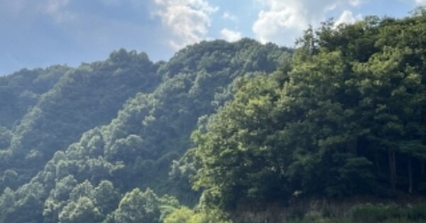 충청북도 청주시 상당구 문의면 구룡리 OOO 임야 경매 물건 이미지