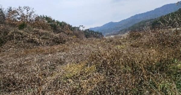 전라남도 보성군 문덕면 귀산리 OOO O OOO 답 경매 물건 이미지