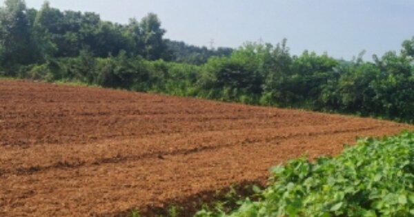 전라남도 영광군 법성면 용덕리 OOO 전 경매 물건 이미지
