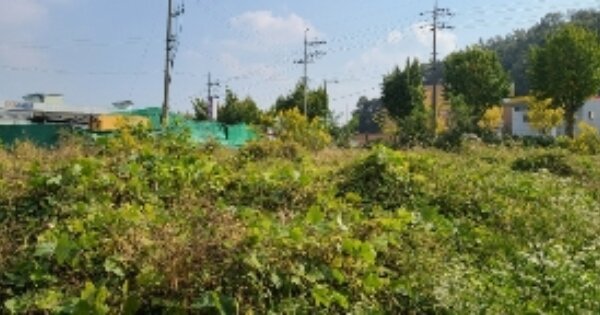 전라남도 나주시 왕곡면 장산리 OOOOO 답 경매 물건 이미지