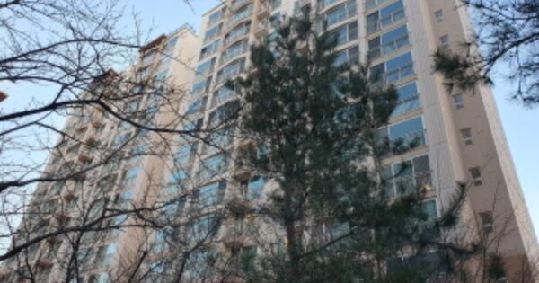 경기 용인시 기흥구 보정동 1271, 303동 OOOOOOOO OOOOOOOOO OOOOOOO 아파트 경매 물건 이미지
