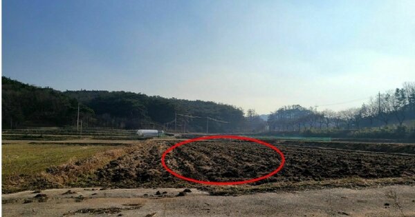 전라남도 장성군 황룡면 아곡리 OOOOO 답 경매 물건 이미지