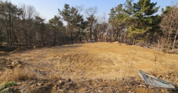 경기도 화성시 서신면 송교리 OOOOOO O OOO 임야 경매 물건 이미지