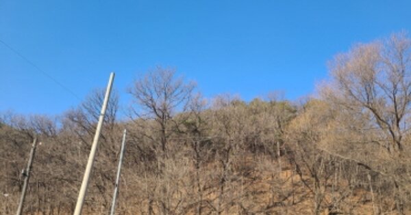경기도 용인시 처인구 백암면 백암리 OOOOOO 임야 경매 물건 이미지