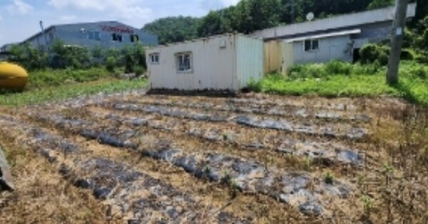 경상북도 안동시 남선면 원림리 OOOOO O OOO 과수원 경매 물건 이미지