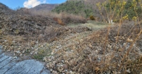 경상북도 안동시 예안면 삼계리 OOO 전 경매 물건 이미지