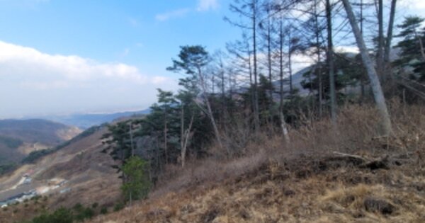 경상북도 영주시 봉현면 대촌리 OOOOO 임야 경매 물건 이미지