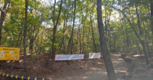 경기도 의왕시 학의동 OOOOOOO 임야 경매 물건 이미지