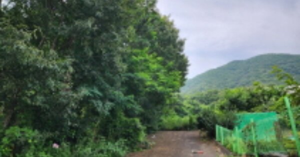 울산광역시 울주군 범서읍 척과리 OOOOOO 임야 경매 물건 이미지
