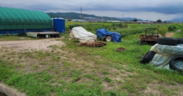 울산광역시 북구 화봉동 OOOOOO 답 경매 물건 이미지
