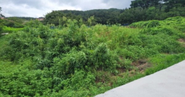 울산광역시 북구 달천동 OOOOO 창고용지 경매 물건 이미지