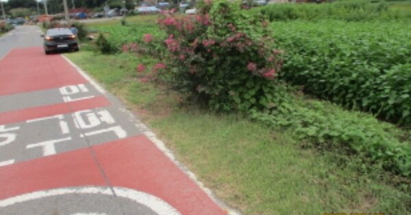 충청남도 금산군 부리면 양곡리 OOOOO O OOO 답 경매 물건 이미지
