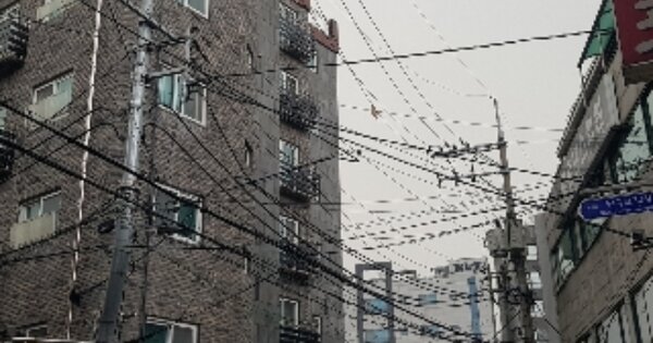 서울 관악구 신림동 OOOOOOO OOOOOO OOOOOOOOOOO O OOO 다세대주택 경매 물건 이미지