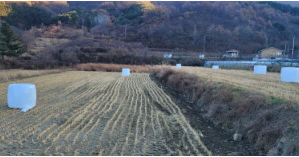 경상북도 영천시 북안면 상리 OOO 답 경매 물건 이미지