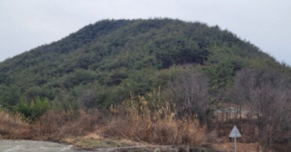 경상북도 청도군 풍각면 성곡리 OOOO 임야 경매 물건 이미지
