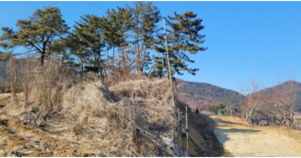 경상북도 칠곡군 기산면 평복리 OOO 전 경매 물건 이미지
