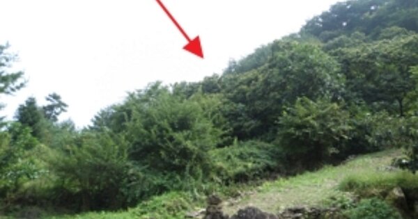 강원특별자치도 원주시 판부면 금대리 OOO 전 경매 물건 이미지