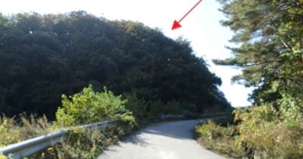 강원특별자치도 횡성군 우천면 정금리 OOOOOO 임야 경매 물건 이미지