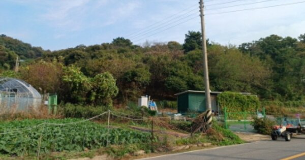 인천광역시 옹진군 북도면 신도리 OOOOO 임야 경매 물건 이미지