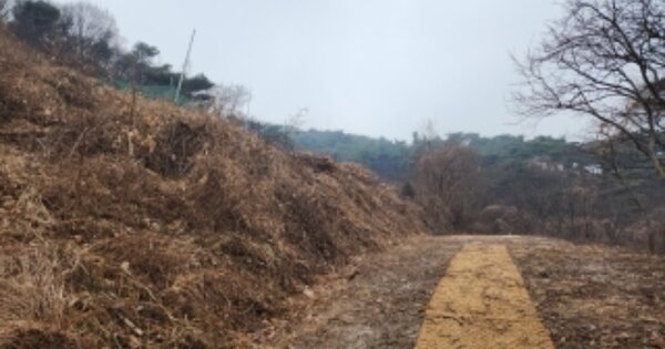 인천광역시 중구 무의동 OOO 임야 경매 물건 이미지