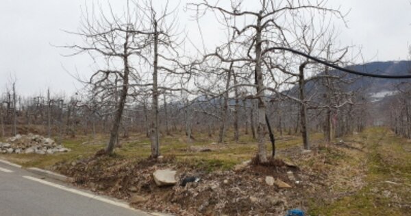 경상남도 거창군 고제면 봉산리 OOO O OOO 답 경매 물건 이미지