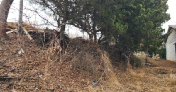 경기도 시흥시 신천동 OOO O OOO 유원지 경매 물건 이미지