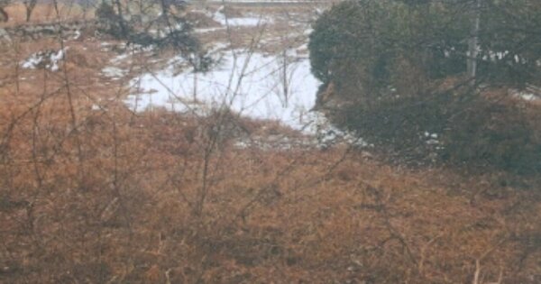 강원특별자치도 강릉시 사천면 석교리 OOO O OOO 전 경매 물건 이미지