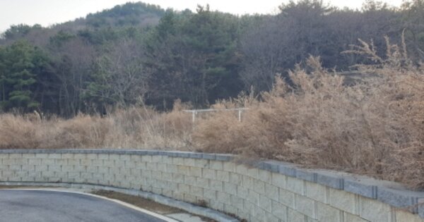 경기도 안산시 단원구 대부동동 OOOOOO O OOO 잡종지 경매 물건 이미지