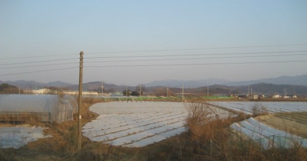 충청북도 청주시 청원구 내수읍 학평리 OOOOO O OOO 답 경매 물건 이미지