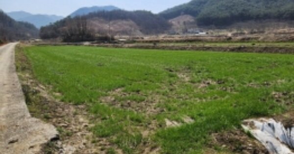전라남도 순천시 황전면 대치리 OOOOO 답 경매 물건 이미지