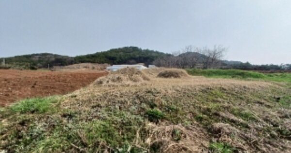 전라남도 영광군 법성면 용성리 OOOOO 전 경매 물건 이미지