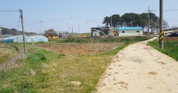 충청남도 보령시 천북면 하만리 OOO O OOO 답 경매 물건 이미지