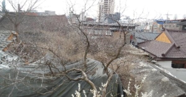전북특별자치도 전주시 완산구 다가동4가 OOOO 창고시설 경매 물건 이미지