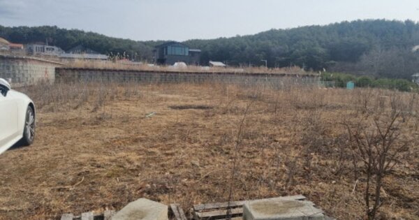 충청남도 천안시 동남구 목천읍 동평리 OOOOO 대지 경매 물건 이미지
