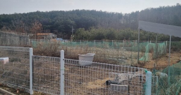 충청남도 천안시 동남구 목천읍 동평리 OOOOO 대지 경매 물건 이미지