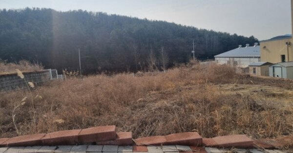 충청남도 천안시 동남구 목천읍 동평리 OOOOO 대지 경매 물건 이미지