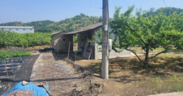 경상북도 경산시 와촌면 박사리 OOO 과수원 경매 물건 이미지