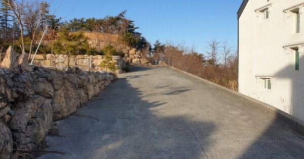 경상북도 경주시 양남면 신대리 OOOOO O OOO 임야 경매 물건 이미지