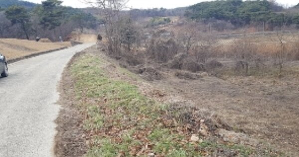 충청남도 보령시 오천면 갈현리 OOO 전 경매 물건 이미지