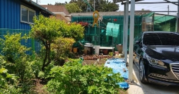 충청남도 보령시 신흑동 OOO 단독주택 경매 물건 이미지