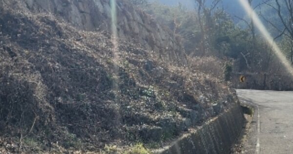 경상남도 통영시 평림동 OOOOOO 과수원 경매 물건 이미지