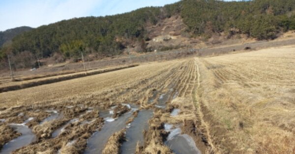 경상남도 거제시 장목면 대금리 OOOOO 답 경매 물건 이미지