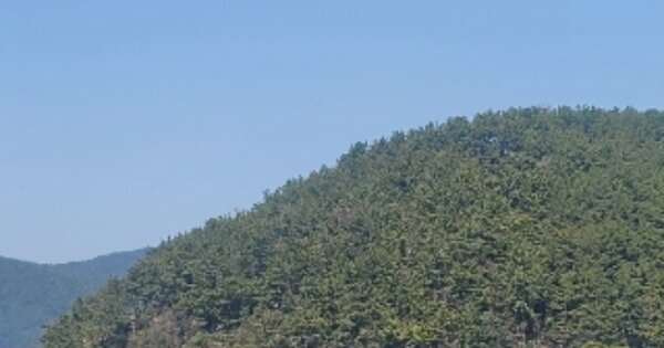 경상남도 통영시 산양읍 삼덕리 OOOOO 임야 경매 물건 이미지