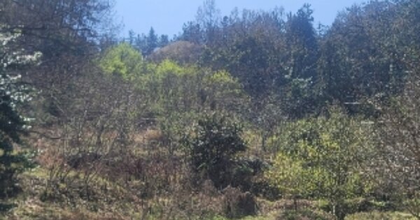 경상남도 통영시 산양읍 삼덕리 OOOOO 전 경매 물건 이미지